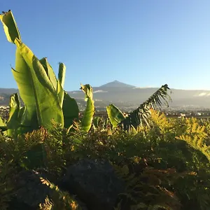 Hébergement de vacances La Plantacion _agroturismo, La Orotava